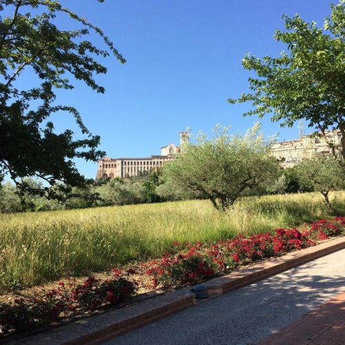 agriturismo-villa-gabbiano