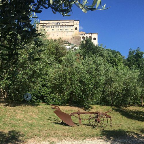 agriturismo-san-damiano