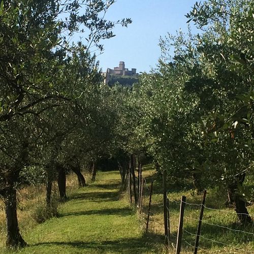 agriturismo-san-damiano